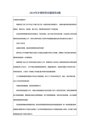 2024年乡镇财务自查报告8篇.docx
