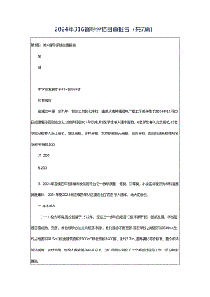 2024年316督导评估自查报告（共7篇）.docx