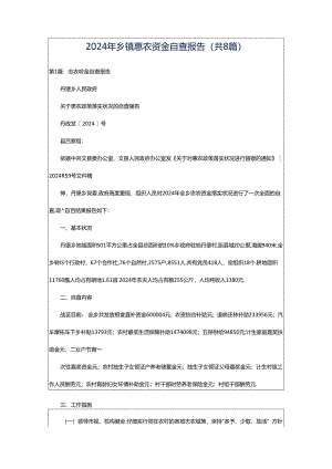 2024年乡镇惠农资金自查报告（共8篇）.docx