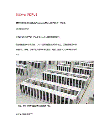 DPU它到底有啥用.docx