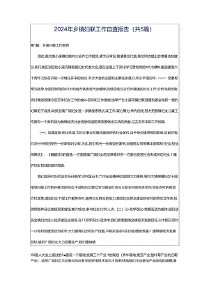2024年乡镇妇联工作自查报告（共5篇）.docx