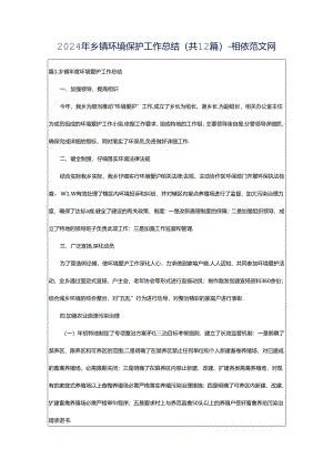 2024年乡镇环境保护工作总结（共12篇）-相依范文网.docx