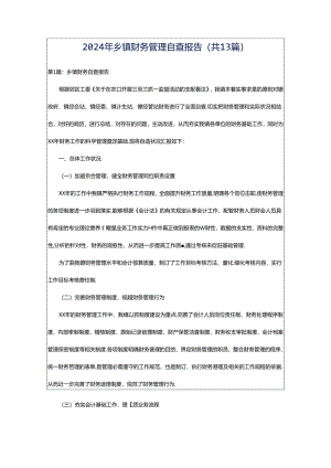 2024年乡镇财务管理自查报告（共13篇）.docx