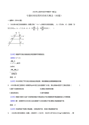 2023年初三一模分类汇编：相似图形的相关概念-答案.docx
