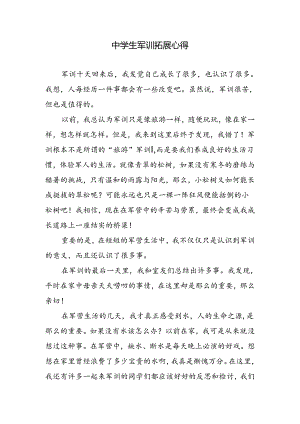 Loading... -- 稻壳阅读器(63).docx