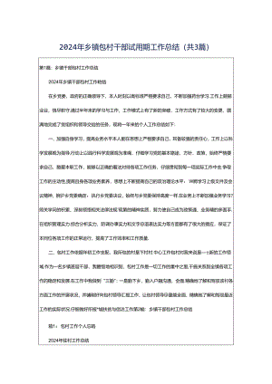2024年乡镇包村干部试用期工作总结（共3篇）.docx