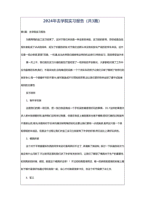 2024年去学院实习报告（共3篇）.docx