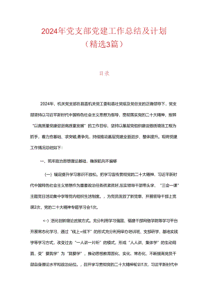 2024年党支部党建工作总结及计划.docx
