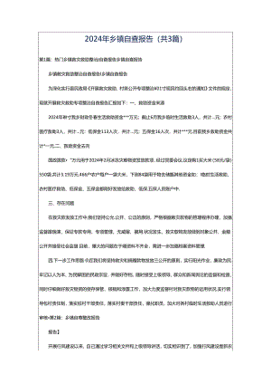 2024年乡镇自查报告（共3篇）.docx