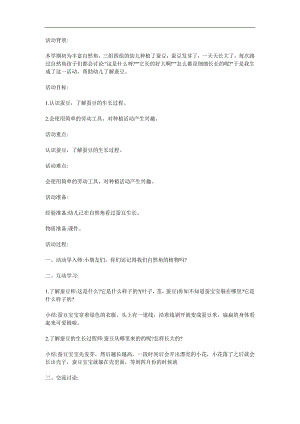 中班科学活动《种蚕豆》PPT课件教案参考教案.docx