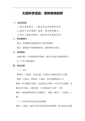 大班科学公开课《各种各样的桥》PPT课件教案大班科学《各种各样的桥》教案.docx