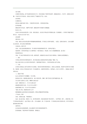 幼儿园神奇的车PPT课件教案图片参考教案.docx