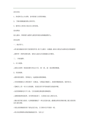 中班《我爱小动物》PPT课件教案参考教案.docx