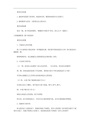 大班健康活动《鼻子的故事》PPT课件教案参考教案.docx