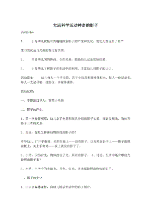 大班科学活动《奇妙的影子》PPT课件教案打印图大班科学活动神奇的影子.doc