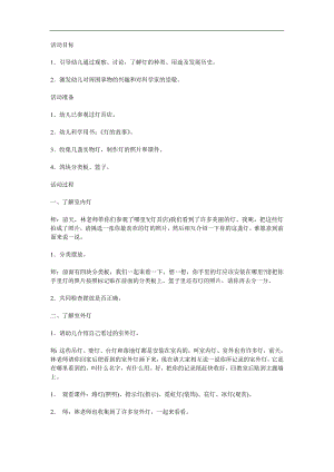 大班科学《灯的故事》PPT课件教案参考教案.docx