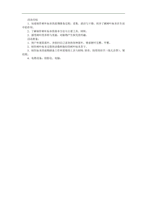 中班科学《制作树叶标本》PPT课件教案参考教案.docx