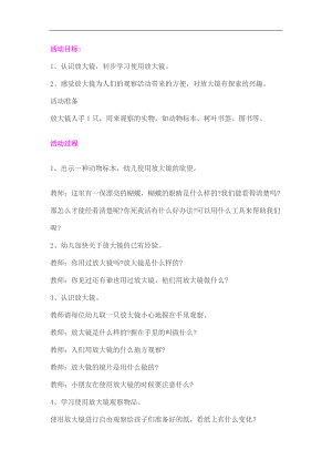 中班科学活动《放大镜》PPT课件教案教案2.doc