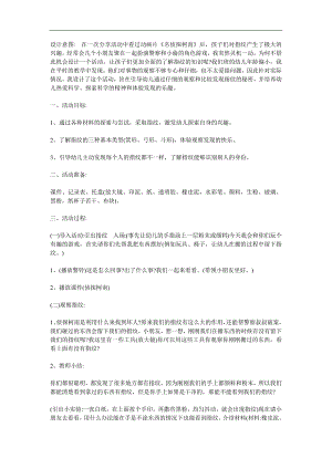 大班科学《小侦探》PPT课件教案参考教案.docx