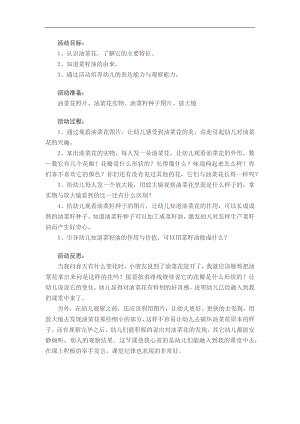 小班科学《家乡的油菜花》PPT课件教案参考教案.docx