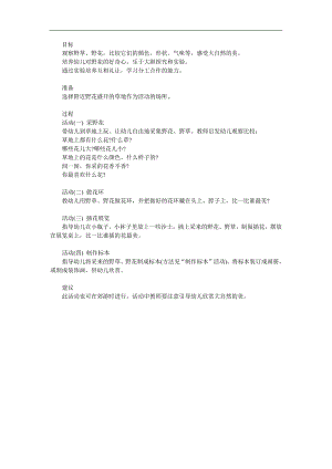 中班故事《野花》PPT课件教案参考教案.docx