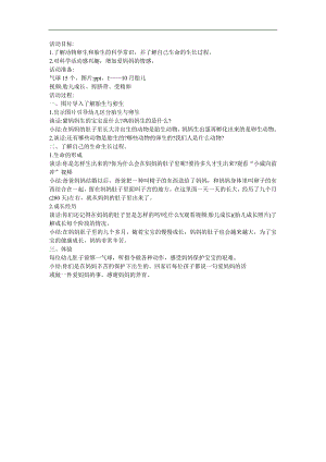 大班科学《奇妙的生命》PPT课件教案参考教案.docx