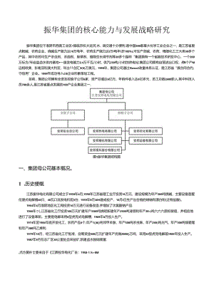 某集团的核心能力与发展战略研究.docx