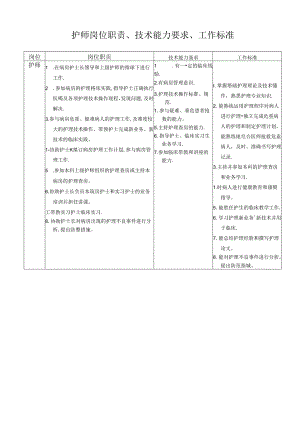 护师岗位职责、技术能力要求、工作标准.docx