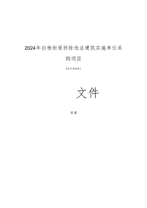 拆除违法建筑实施单位采购项目招标文件.docx
