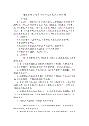 有限责任公司有限公司安全生产工作计划.docx