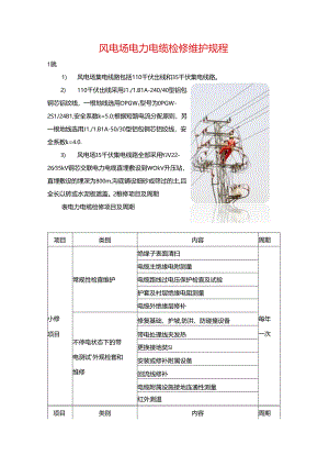 风电场电力电缆检修维护规程.docx