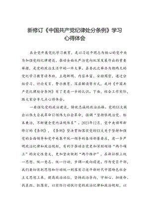 2024新修订中国共产党纪律处分条例六项纪律研讨发言稿22篇.docx