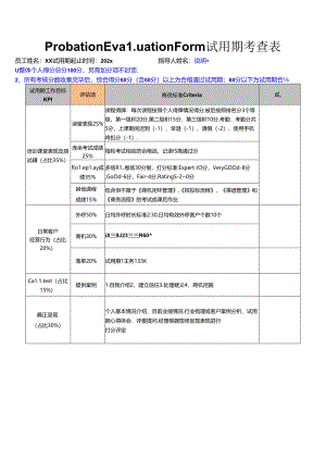 SMB试用期考查表-更新版.docx