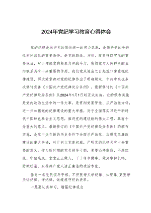 2024年党纪学习教育六项纪律发言稿四篇.docx