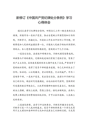 2024新修订中国共产党纪律处分条例六项纪律心得体会研讨发言八篇.docx