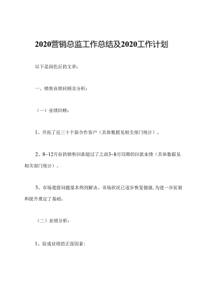 2020营销总监工作总结及2020工作计划.docx