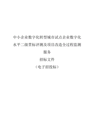 中小企业数字化转型城市试点企业数字化水平二级贯标评测及项目改造全过程监测服务招标文件.docx