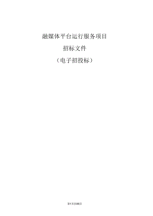 融媒体平台运行服务项目招标文件.docx