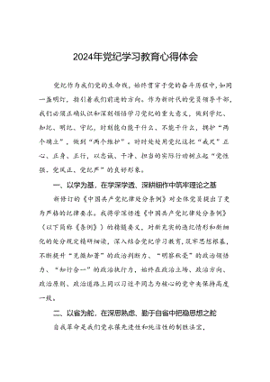 2024年党纪学习教育关于六项纪律研的发言材料二十一篇.docx