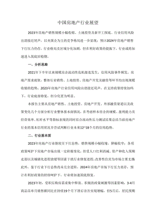 中国房地产行业展望.docx