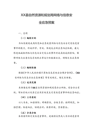 县自然资源和规划局网络与信息安全应急预案.docx