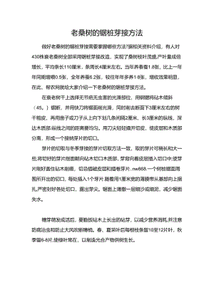 老桑树的锯桩芽接方法.docx