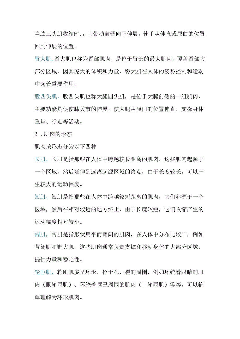 医学资料:肌肉知识大全.docx_第2页