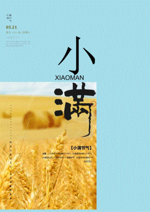 小满手抄报模板.docx