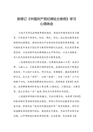 2024版中国共产党纪律处分条例心得体会二十二篇.docx