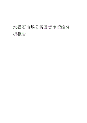 水镁石市场分析及竞争策略分析报告.docx