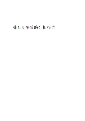 沸石竞争策略分析报告.docx