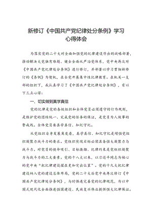 2024新修订中国共产党纪律处分条例六项纪律研讨发言学习体会八篇.docx