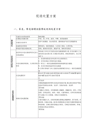 储罐泄露现场处置方案范文.docx