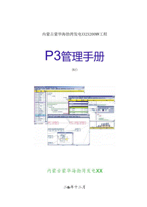 某集团发电工程P3管理手册.docx